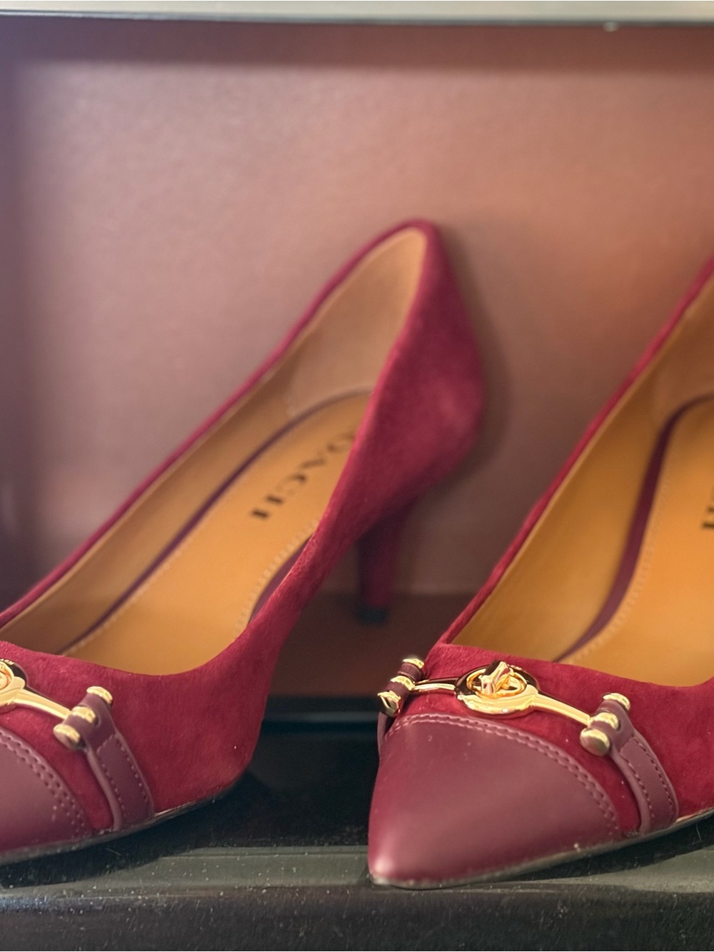 Coach Lauri Lux Suede Pumps Burgundy - Picture 3 of 9